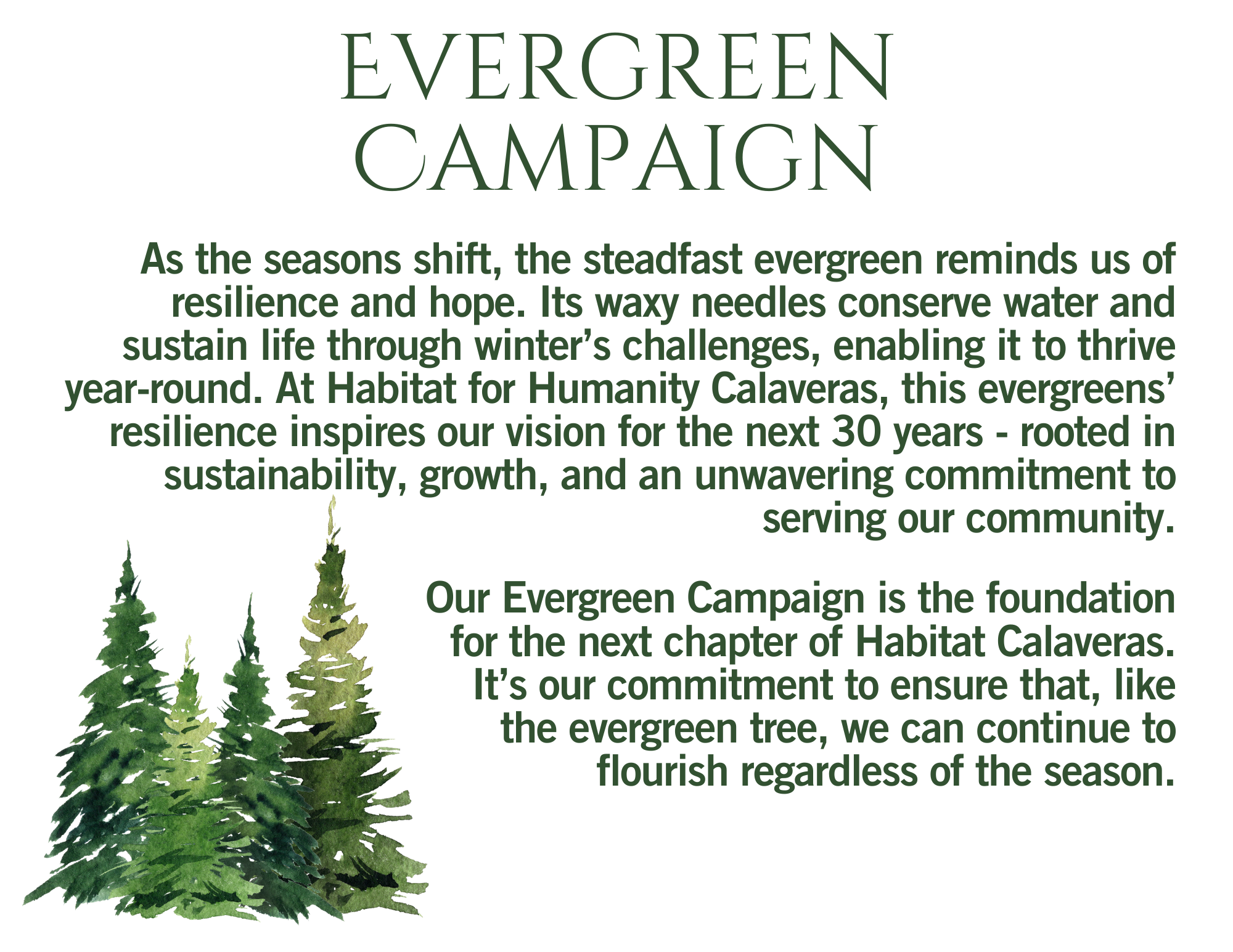 Explanation of the Evergreen Campaign